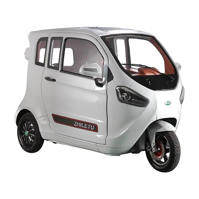 Electric Scooter Three Wheeler Power Auto Tricycle Electric Motorcycle