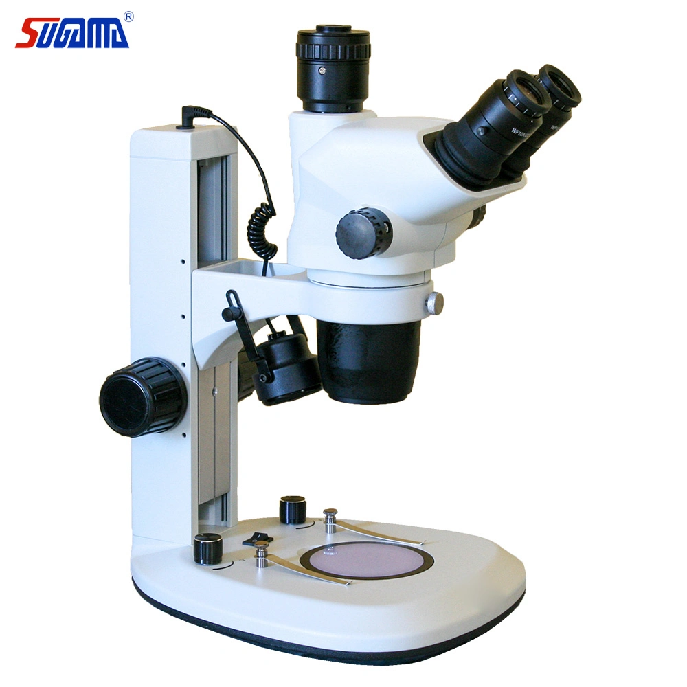 Portable Electronic Microscope Biological with Microscope Slides