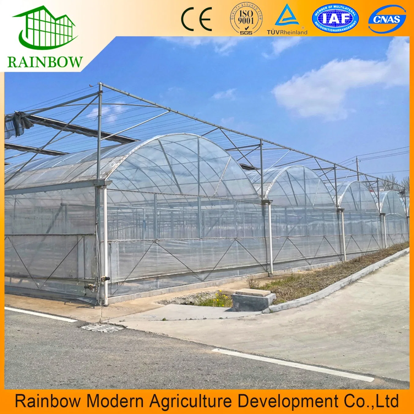 Plastic Film Agriculture Commercial Hydroponics Greenhouse