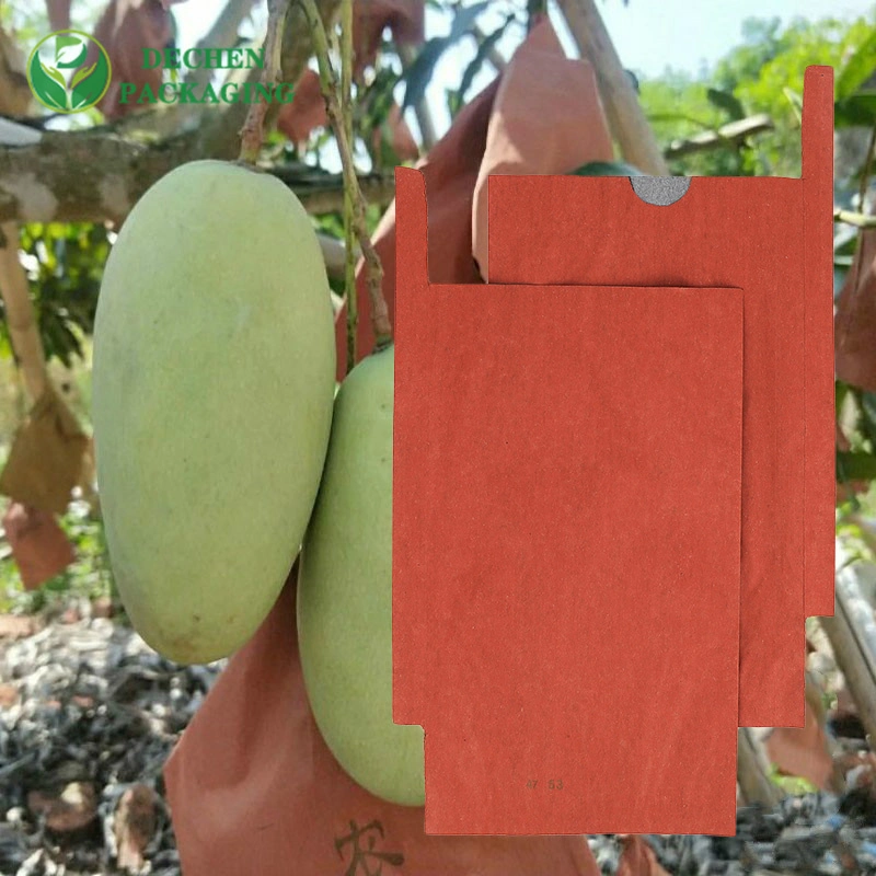 Cire de protection de plus en plus de mangue couché sacs sac en papier de protection de raisin biologique