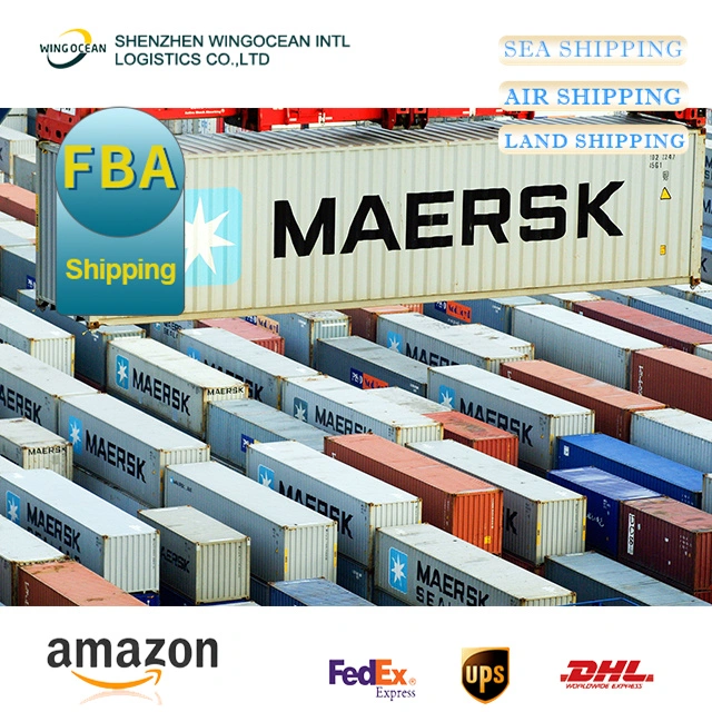 Más barato y más rápido Transporte marítimo Forwarder cooperar Logística Servicio de Forwarder Envío desde China a EE.UU./ Canadá/ Europa