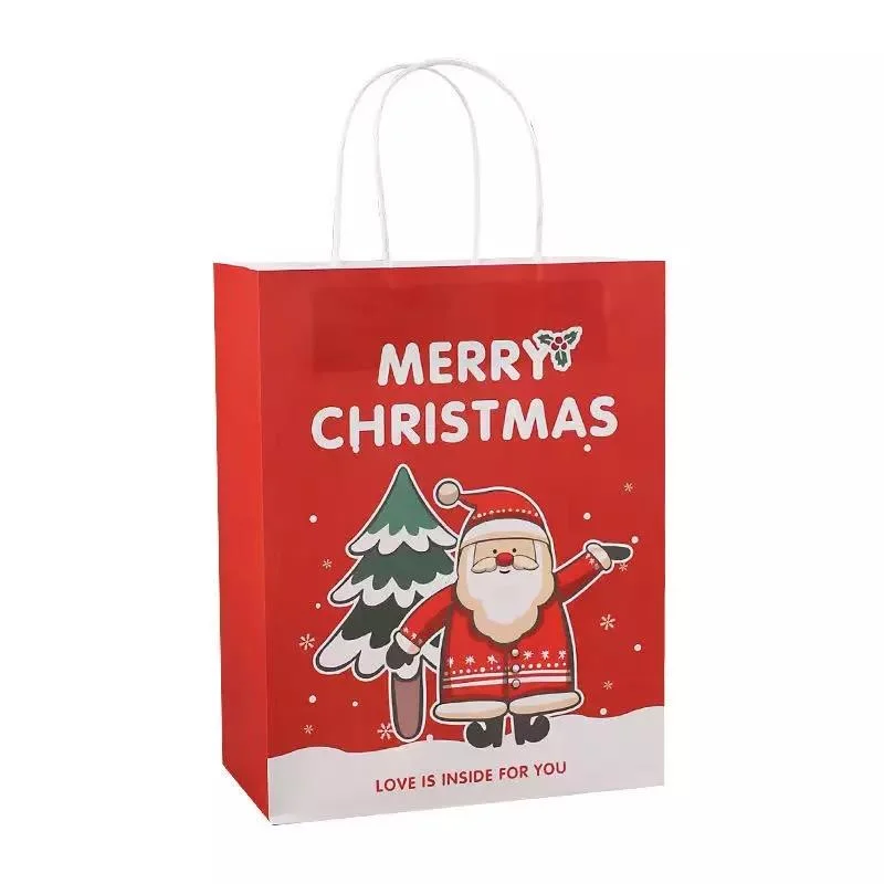 Carry Fancy Colorful Custom Logo Business Art Post Paperboard Paper Shopping Bag