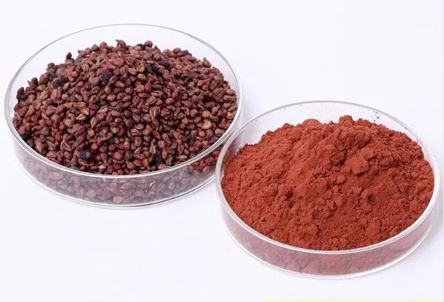 High Purity Plant Extract Grape Seed Extract >95% OPC (100% Natural) Plant Herbal Extract Powder Vitis Vinifera Food Additive Antioxidant Proanthocyanidins