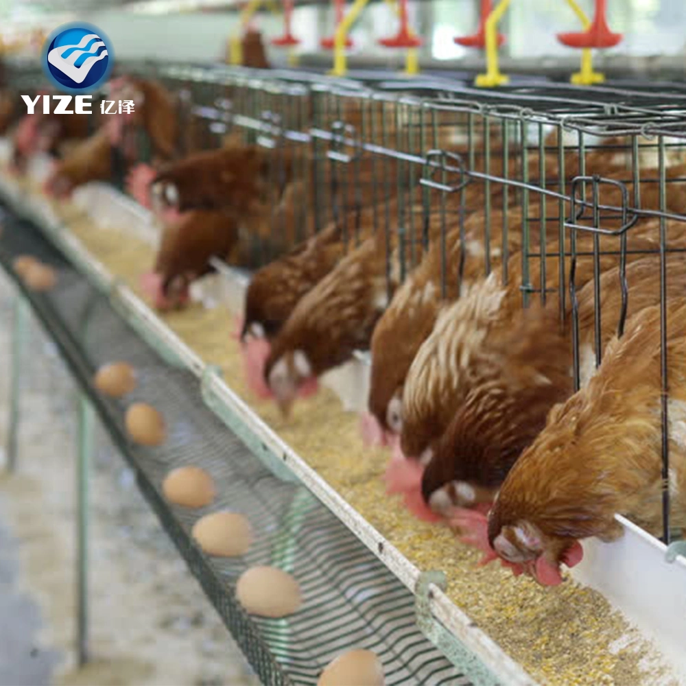 Hot Sale une couche de type 4 de la cage de poulet galvanisé pour l'Éthiopie ferme avicole