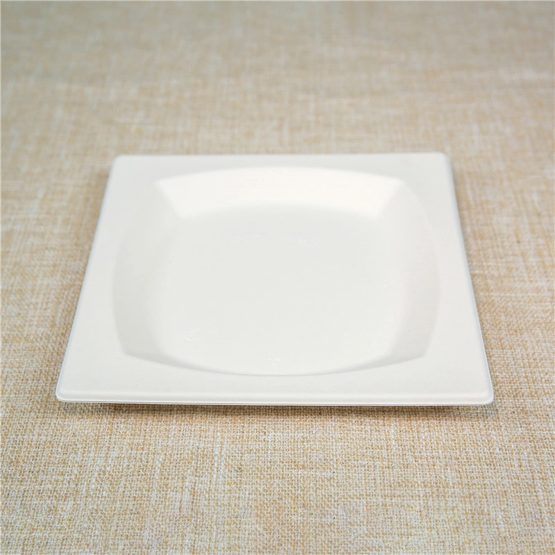 Biodegradable Dinner Plate Sugarcane Bagasse Pulp Plates Restaurant Disposable Square Tray