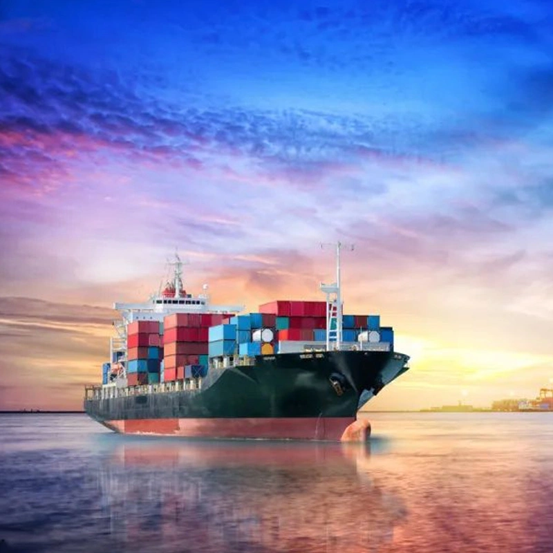 Freight Forwarder Liquid Sea Freight E-Commerce From China to USA