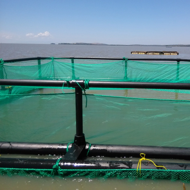 Carré pêche au piège filet cage de pêche de la ferme pour Tilapia