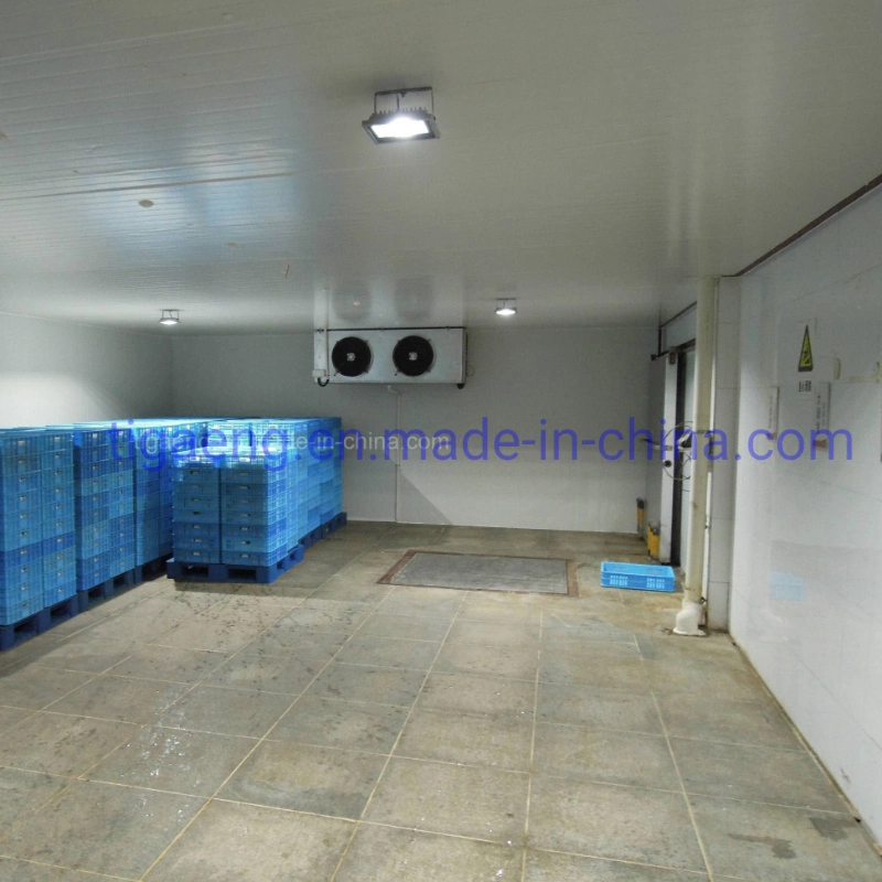 Affordable Heat Preservation Prefabricated Steel Structure Cold Storage Room