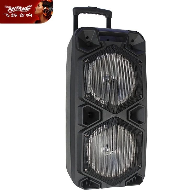 Double 12 Inch Luxury Outdoor Stage Powerful PA DJ High Class Wireless Audio Loud Speaker