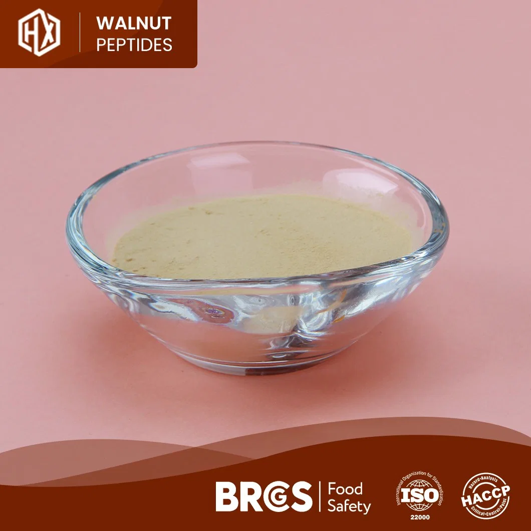 Haoxiang Wholesale/Supplier Bulk High Purity Walnut Peptides in Immune Anti-Fatigue Customized Clear Hydrolyzed Instant Textured Isolate Walnut Peptides Protein Powder