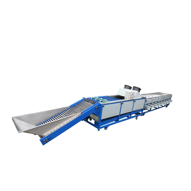 China Suppliers in Zhucheng City Qingdao Hot Selling Fruit and Vegetable Sorting G Grading Machine