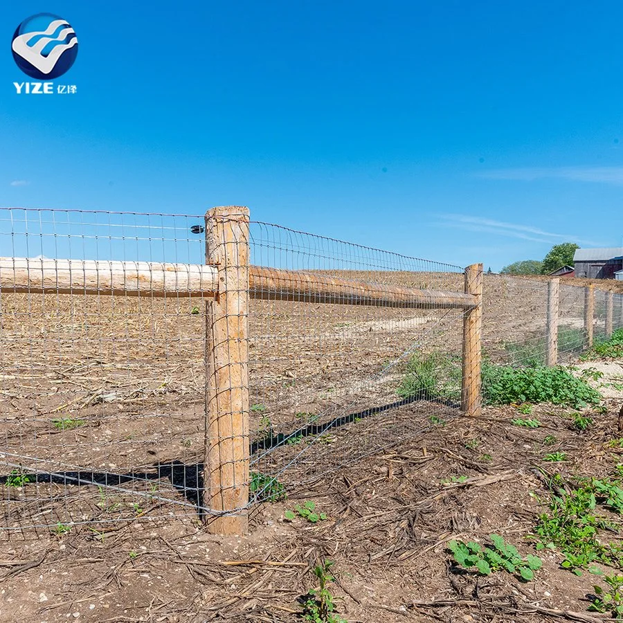 Hohe Zugspannung Verzinkter Draht Mesh Geflügel Vieh Schafe und Ziegen Bauernhof Zaun Gewofener Hirsch Bauernhof Zaun