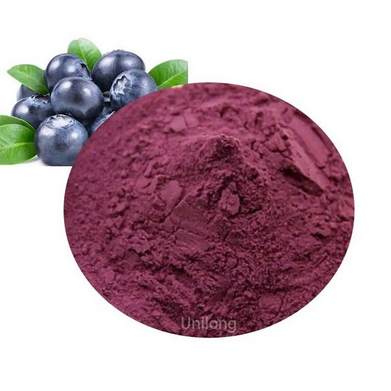 Hot Sales 100% Blueberry Fruit Powder Frozen CAS 84082-34-8 Blueberry Extract