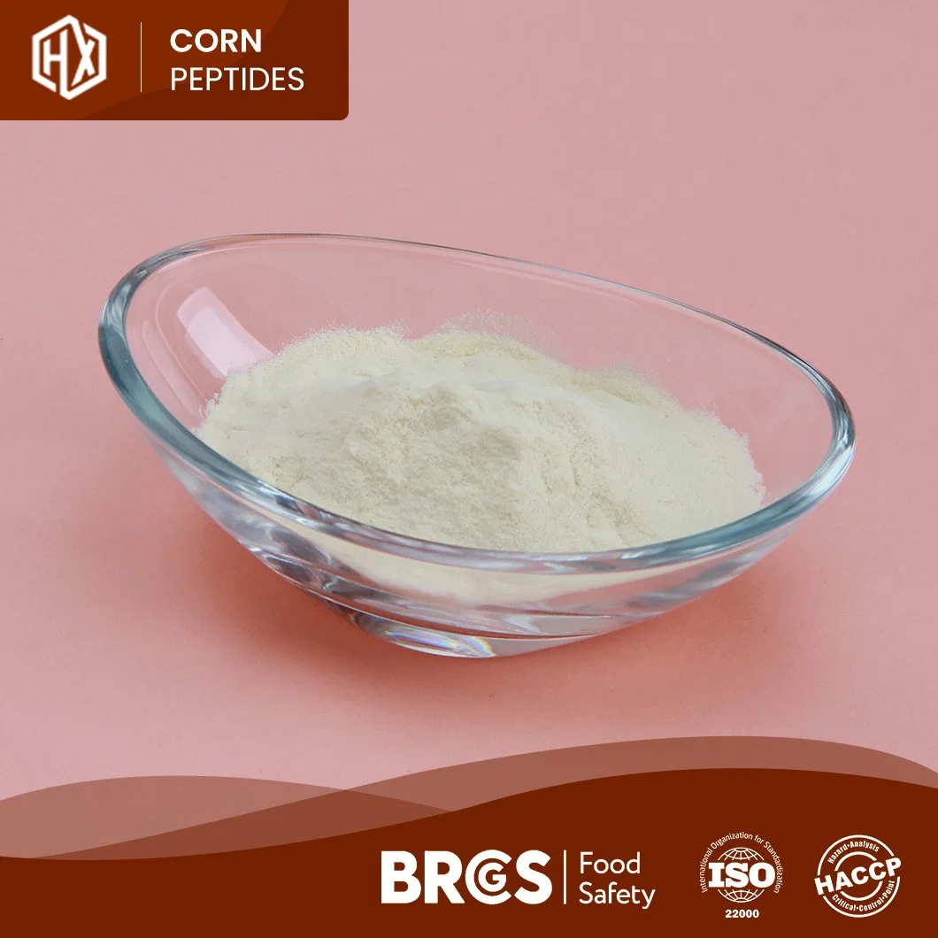 Haoxiang Supply Organic Corn Protein Peptide Meal Cornbean Protein Fiber Isolate Concentrate Powder High quality/High cost performance  Small Molecular Active Corn Collagen Peptide