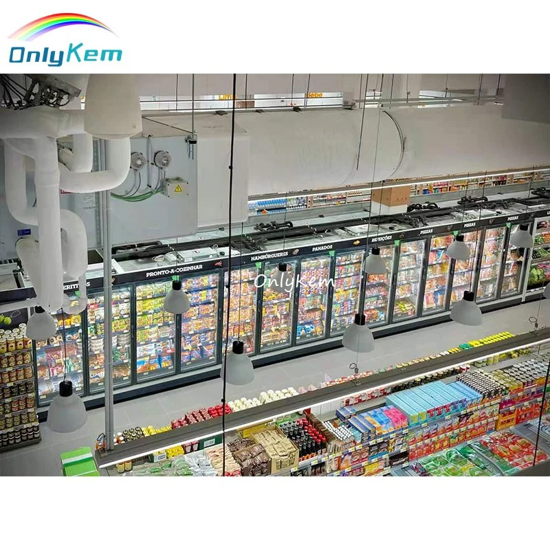 Bottle/Dairy/Juice/Frozen Food Glass Display Walk-in Cold Room