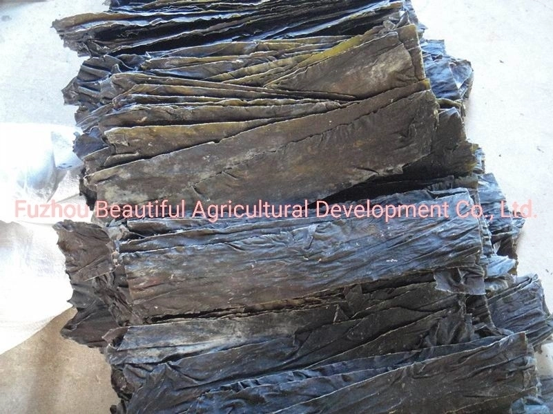 Wholesale/Supplier Natural Health Food Seaweed Dried Kombu 500g