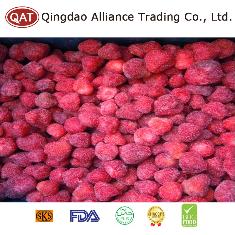 Supply IQF Blended Mixed Berries with HACCP Certificates