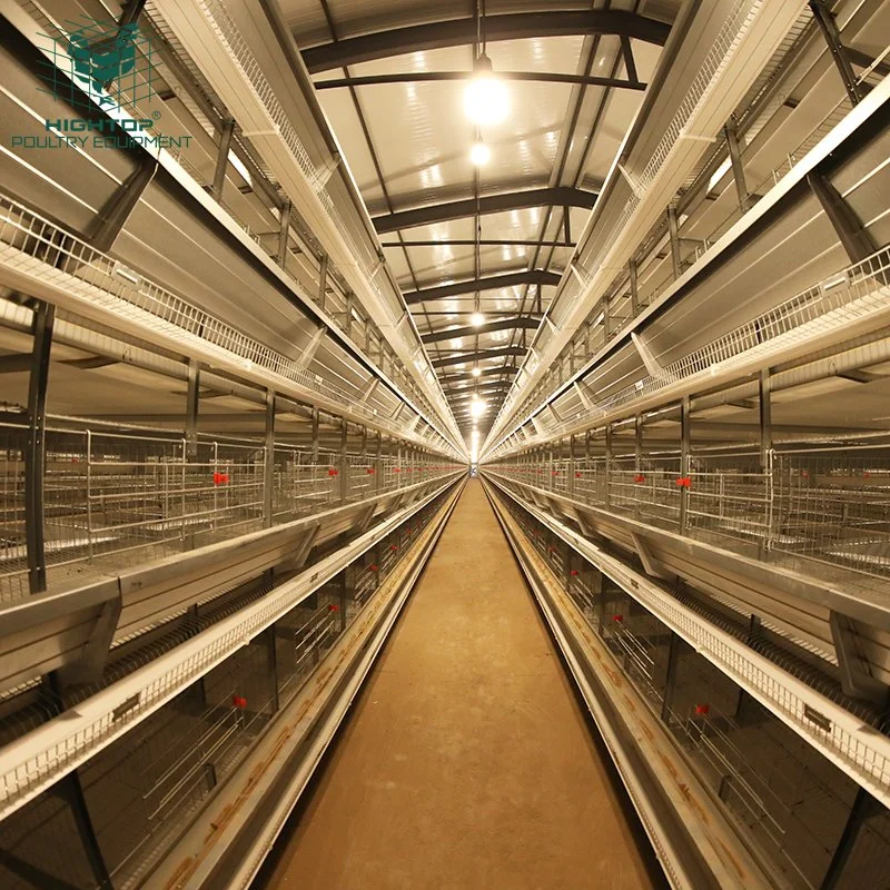 Avicultura completamente el sistema de suministro de alimentación automática de la capa de la batería tipo H de la jaula de pollo