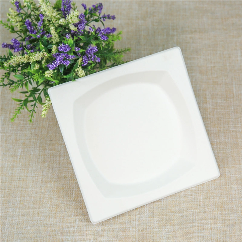 Bagasse Plate Square Plates Rectangle Sugarcane Bagasse White Plate 6/ 8.5/ 10 Inch Disposable Square Plate