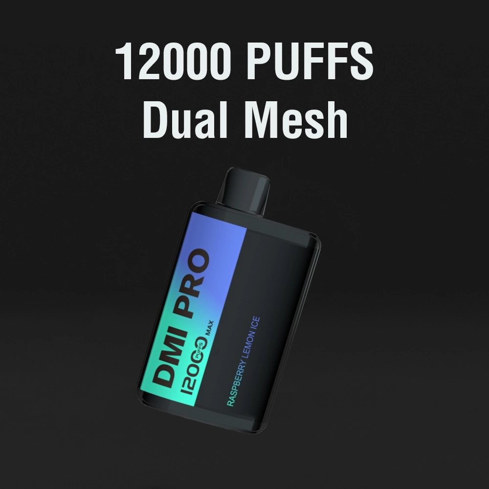 12000 Puffs VAPE desechable con pantalla Smart Display malla doble Precio de fábrica de bobinas