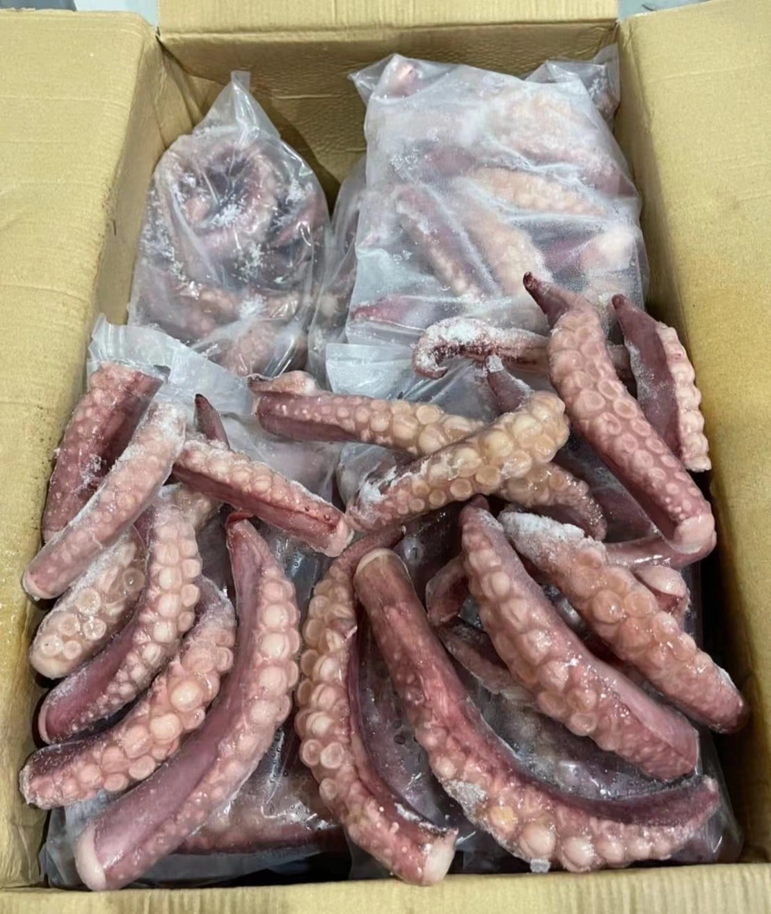 Frozen Seafood Squid/Calamar Pota Tentacle
