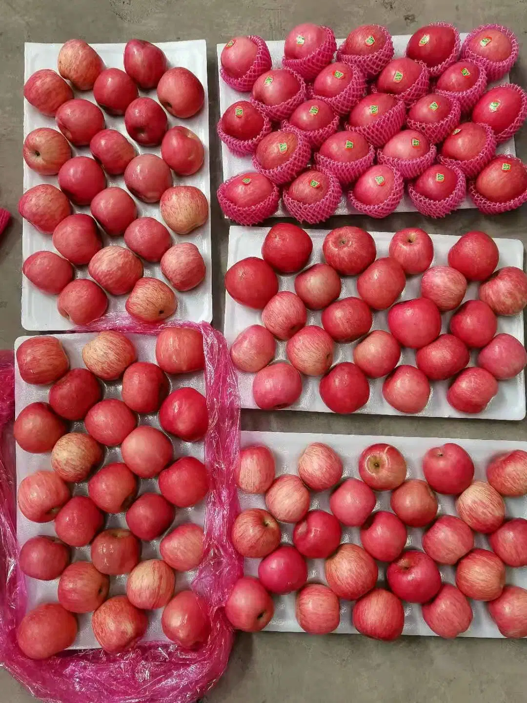 Fresh Fruits Red Paper Bagged FUJI Apples