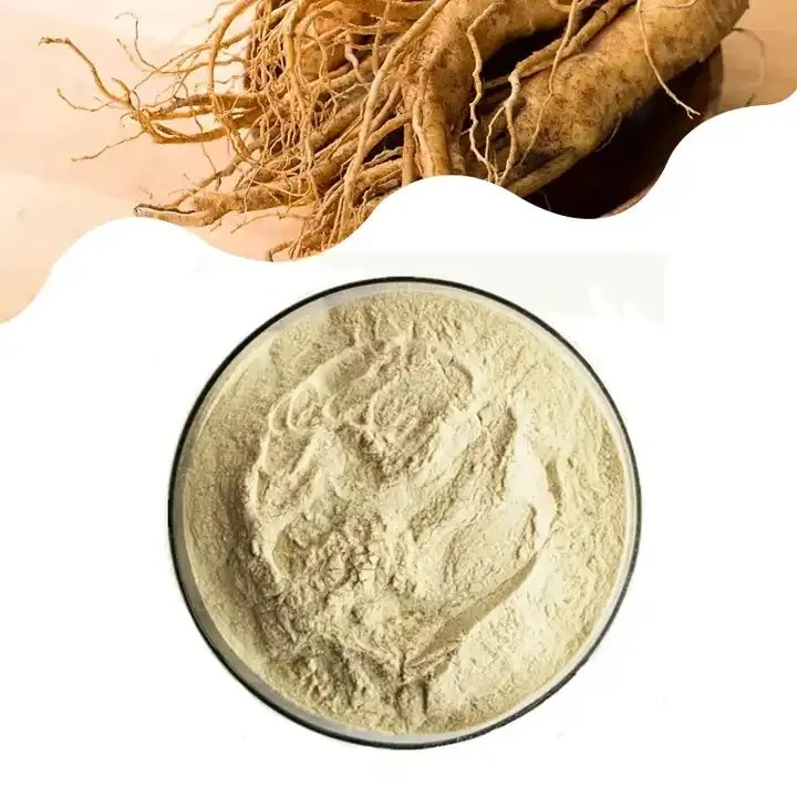 Ventes en usine extrait pur de Panax Ginseng pour la santé