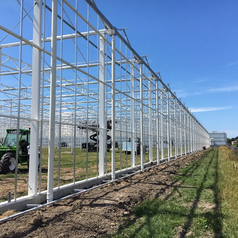 Alta qualidade de controlo solar temperados vidro isolante únicos e gases com efeito de refrigeração do sistema de hidroponia com acessórios