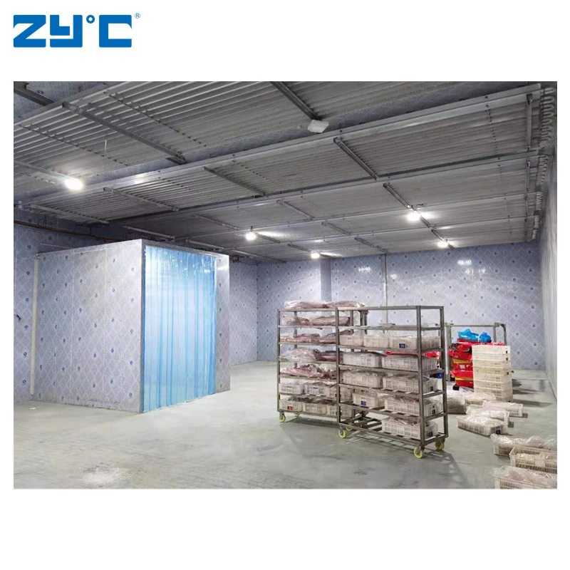 Zyc Pork Cold Storage Room Freezer Room