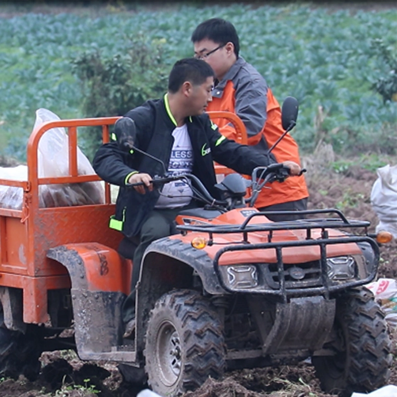 Gaswellen-Antrieb Aerobs Chongqing, China 12 Volt ATV AVT Bike