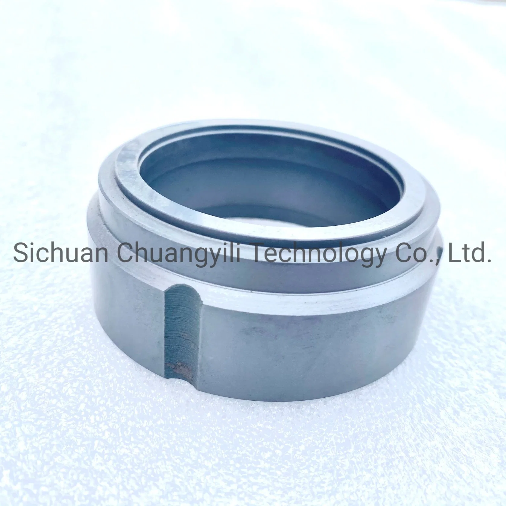 Mechanical O Ring Seal Ring Ssic Silicon Carbide Ceramic for Oil Pump