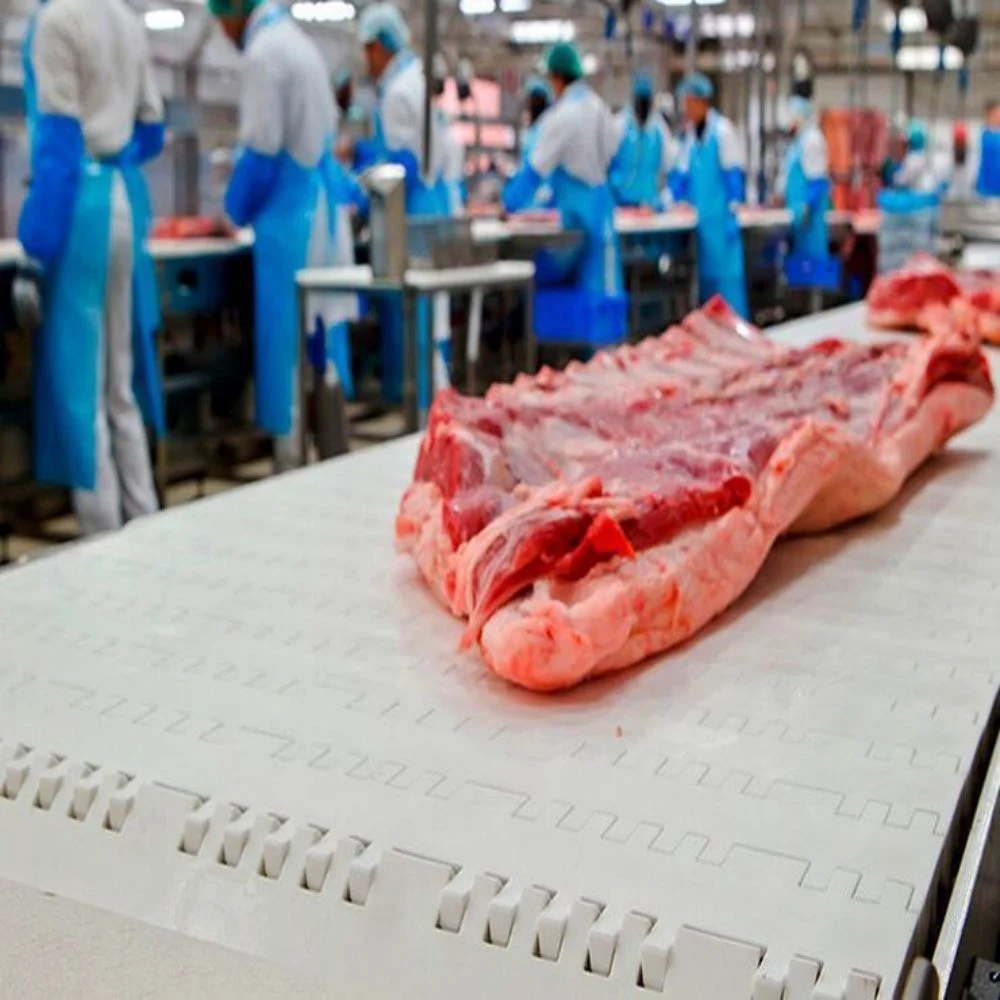 Beef Meat Trimming Conveyor Line in Slaughter House