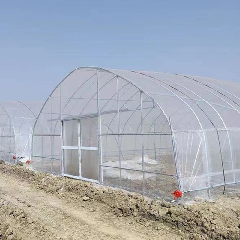 Túnel de una sola espa Agrícola tipo invernadero de película con sistema de privación de luz Para plantas médicas