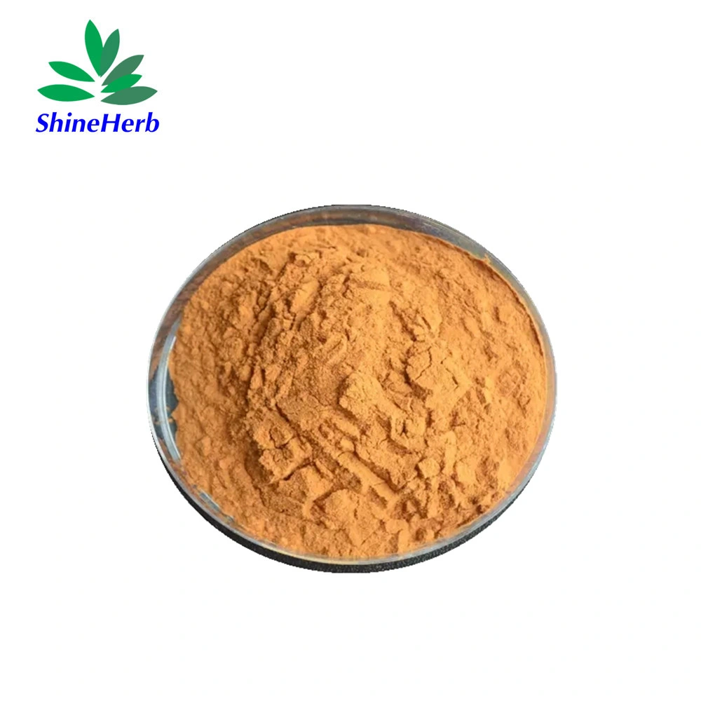 Chinese Wolfberry Goji Berry Extract Powder 50% Polysaccharide