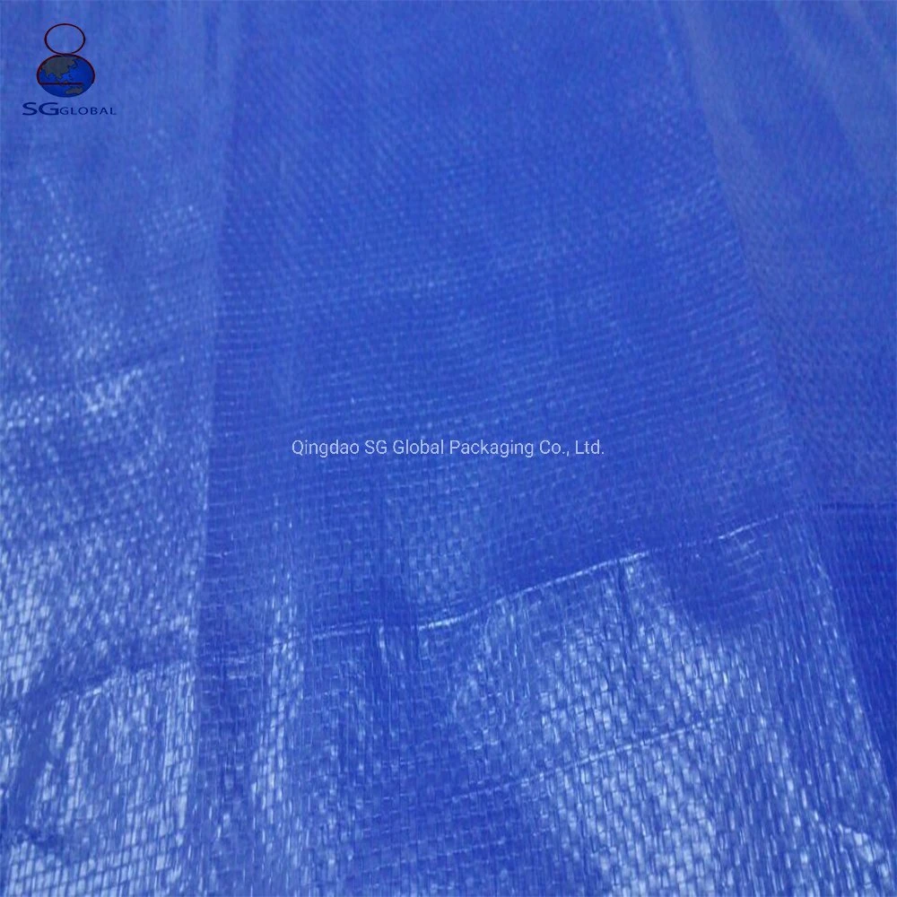 SGS CE Wholesale/Supplier plástico Azul Polietileno Laminado Luberante impermeable Wrap Toldo 16X16 EP tarp