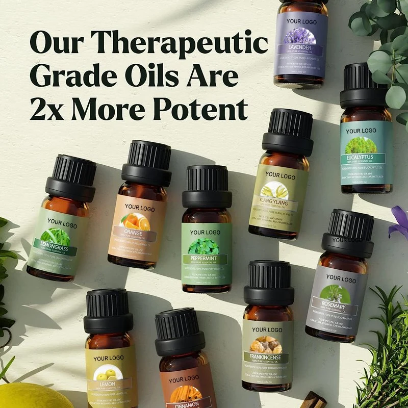 Aromatherapy Essential Oil Gift Set 6 Pack Aroma Diffuser Oils 12 Various Fragrance High Quality Eucalyptus Clove Cedar Oil