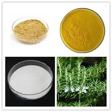 Factory Supply Ursolic Acid 99% Loquat Leaf Extract Eriobotrya Japonica Leaf Extract