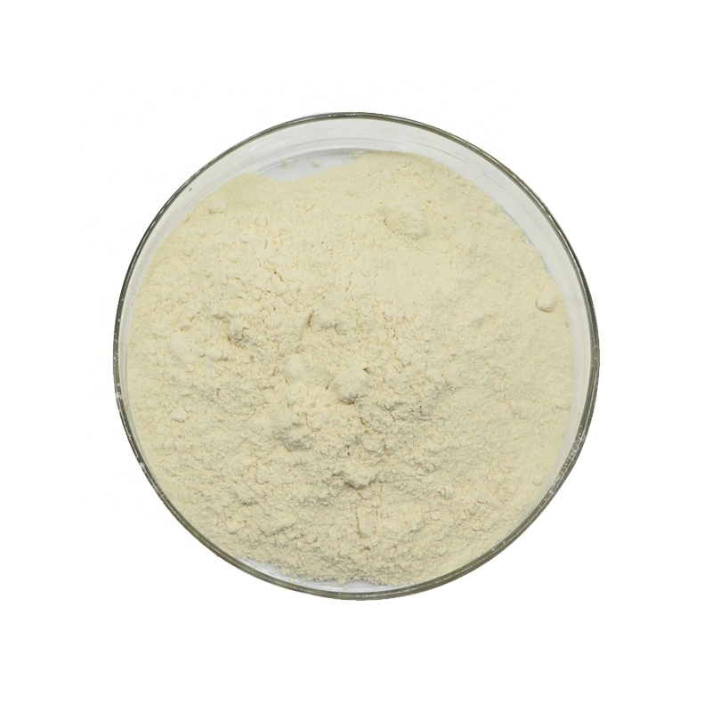 Food Grade Yellow Powder 80/200mesh Best Price Xanthan Gum