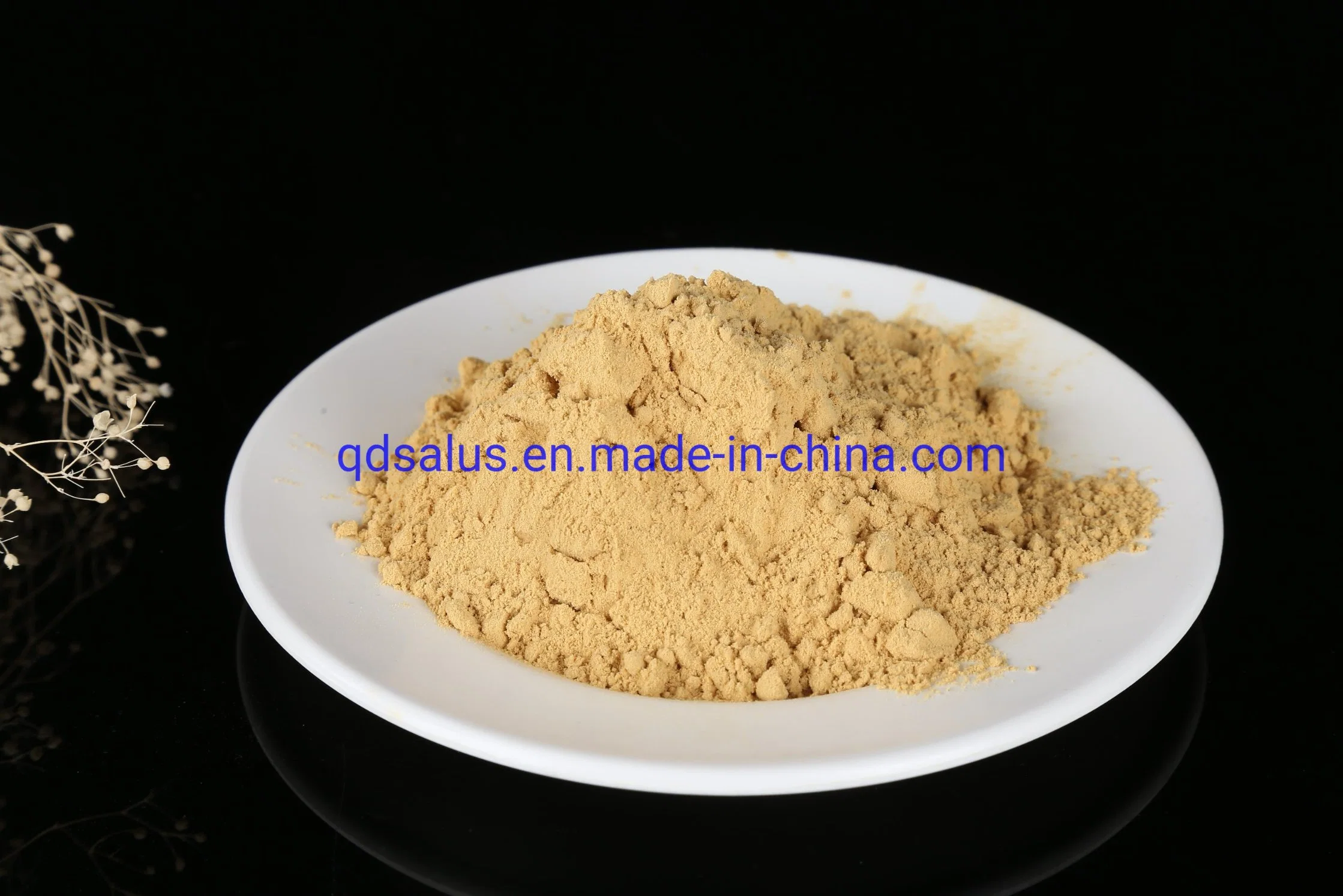 Chitosan Oligosaccharide Agriculture Grade CAS No. 9012-76-4