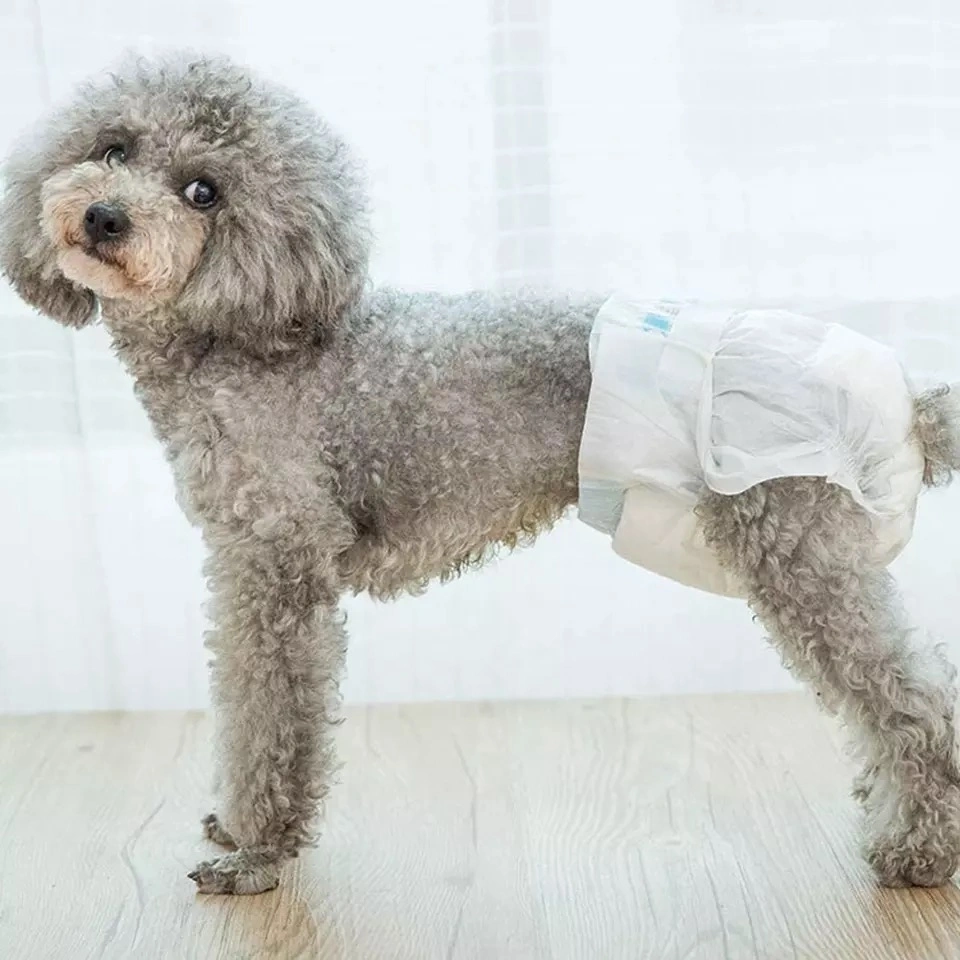 Disposable Dog Supplies Leak Proof Nappies Pet Puppy Menstrual Pants Female Diapers