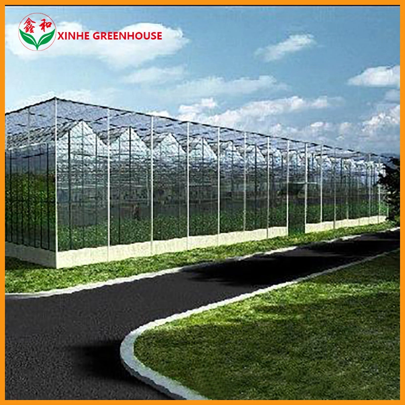 Large Multi-Span Commercial Shading and Heating System Glass Greenhouse