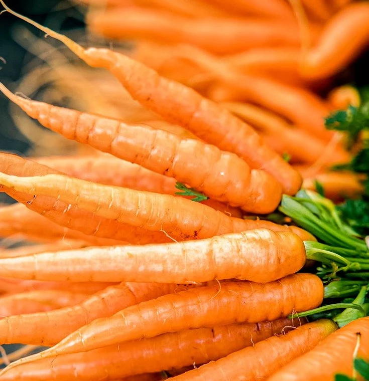 Frutas de dedo pequeño saludable semillas de zanahoria crujiente y dulce