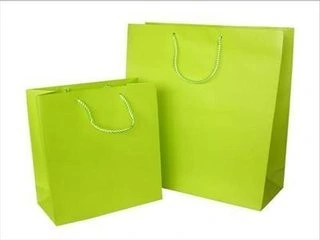 Custom Printing Logo Gift Carrier Paper Bags Wholesale/Supplier Luxury Shopping Bag with Rope Handle