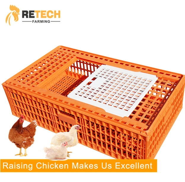 PP material Convenient poultry farm transport cages for South Africa