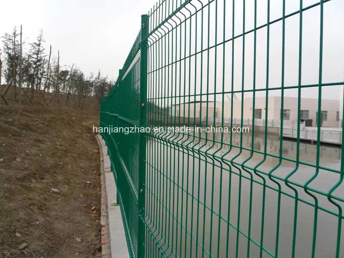 En Amérique du Sud Hot Sale en métal poudré Wire Mesh (XMM-wm5)