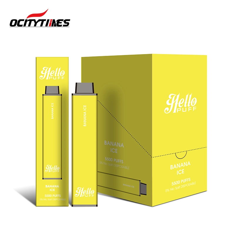 Ocitytimes 5%Nicotine 10 Fruit Flavors Disposable/Chargeable E Cigarettes Kit 5500 Puffs 10ml Cartridge Vape