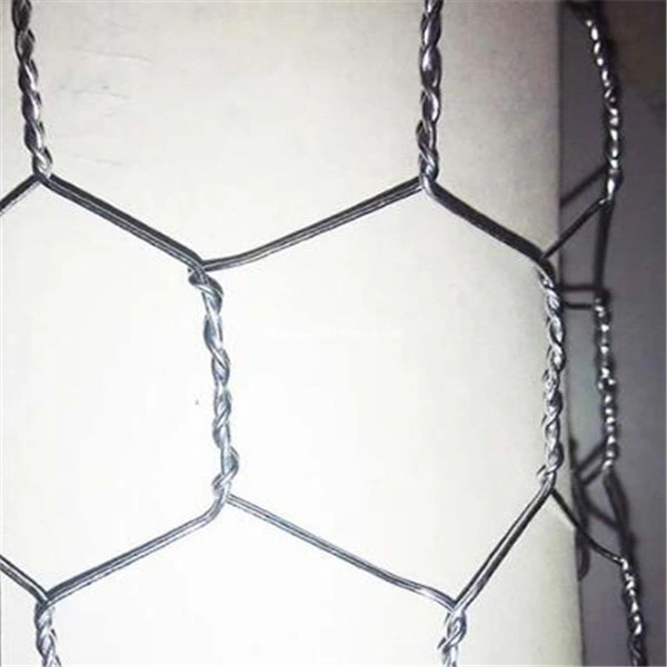 Chicken Fencing Wire Netting 3/4 Inches Hexagonal Galvanized Steel Wire Mesh