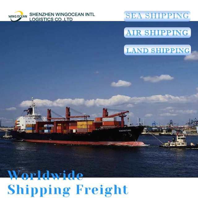 Excellent Professional Air Ocean Freight Forwarder Shipping From Shenzhen to Mexico/ Australia