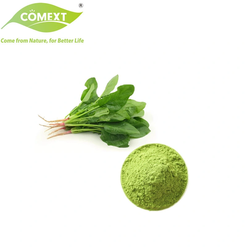 Comext Best Price Free Sample Vegetable Powder High quality/High cost performance 100% Natural Pure Spinach Powder