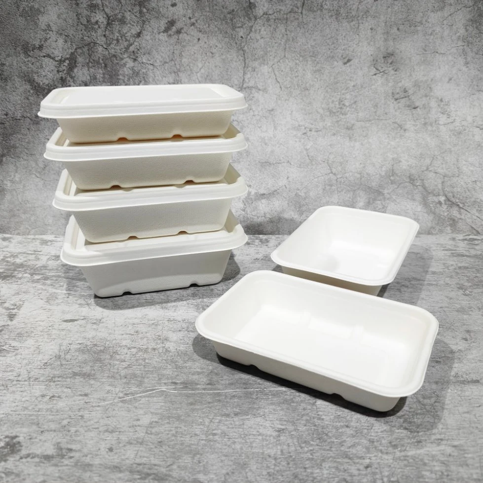 Disposable Biodegradable Takeaway Food Container Sugar Cane Bagasse Lunch Box Meal Prep